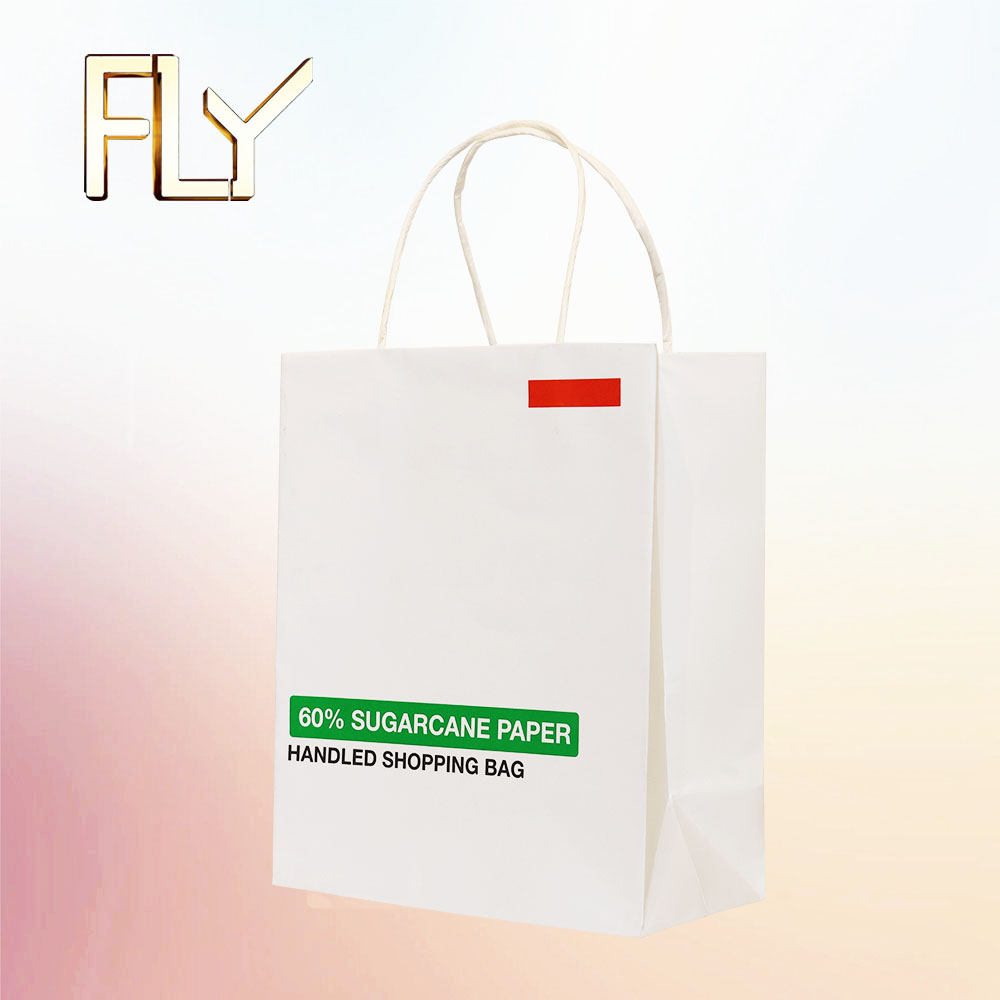 Gift Paper Bags with Handles for Shopping Clothing Shoes