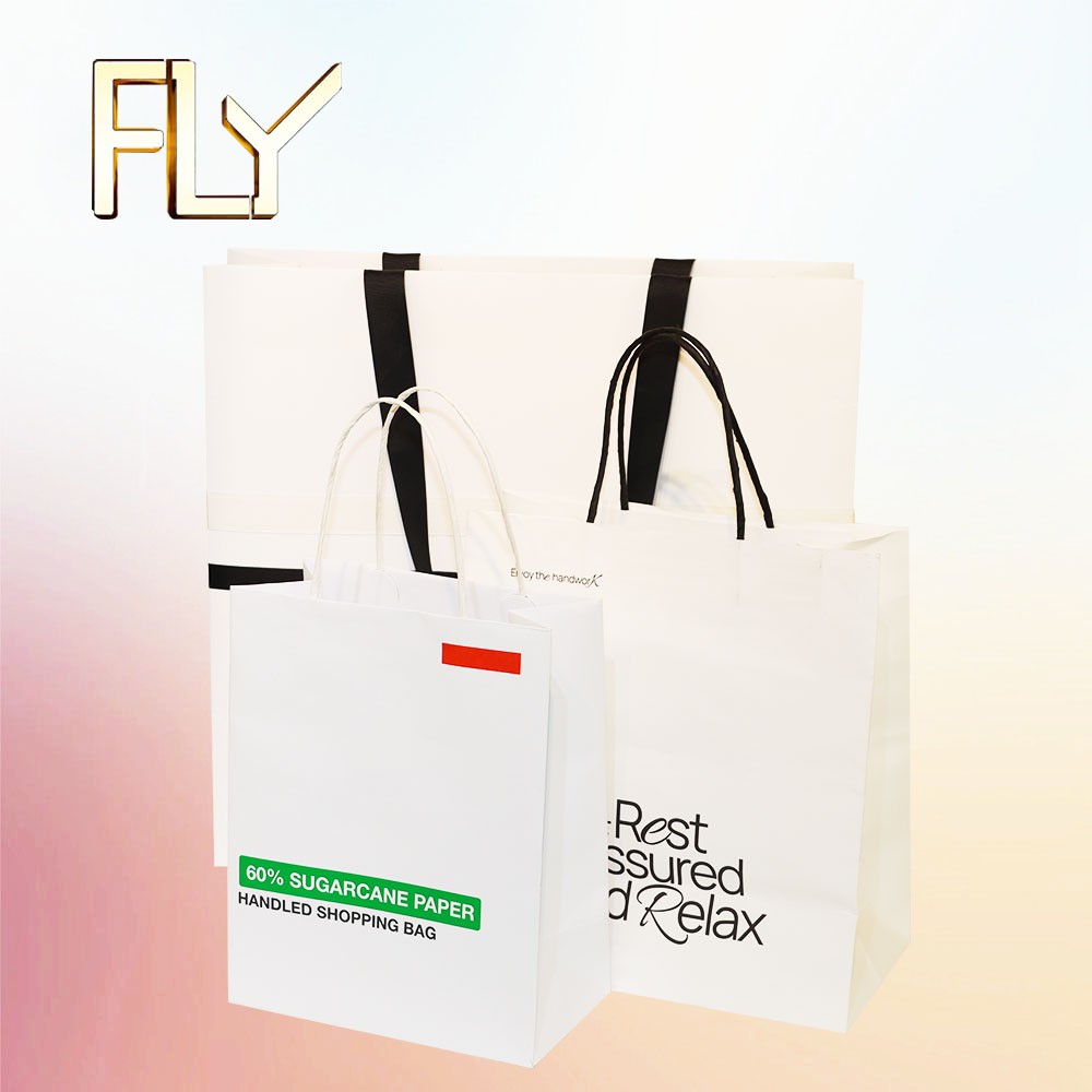 Luxury Clothing Gift Shoes Craft Paper Bag Packaging With Ropes 